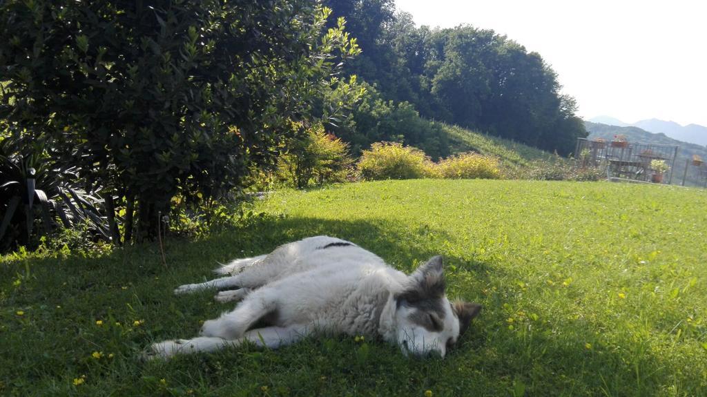 Agriturismo Lemire San Pietro di Feletto Kültér fotó