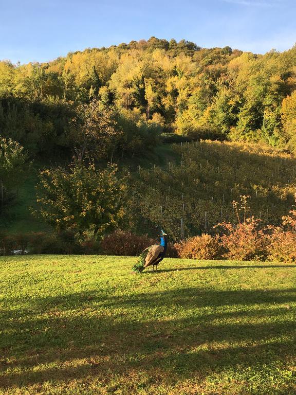 Agriturismo Lemire San Pietro di Feletto Kültér fotó