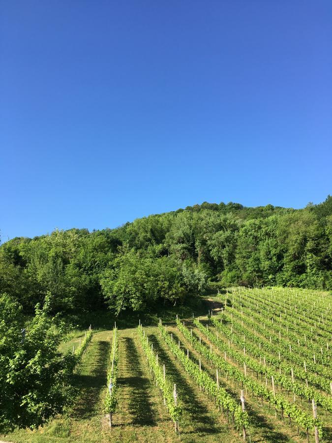 Agriturismo Lemire San Pietro di Feletto Kültér fotó