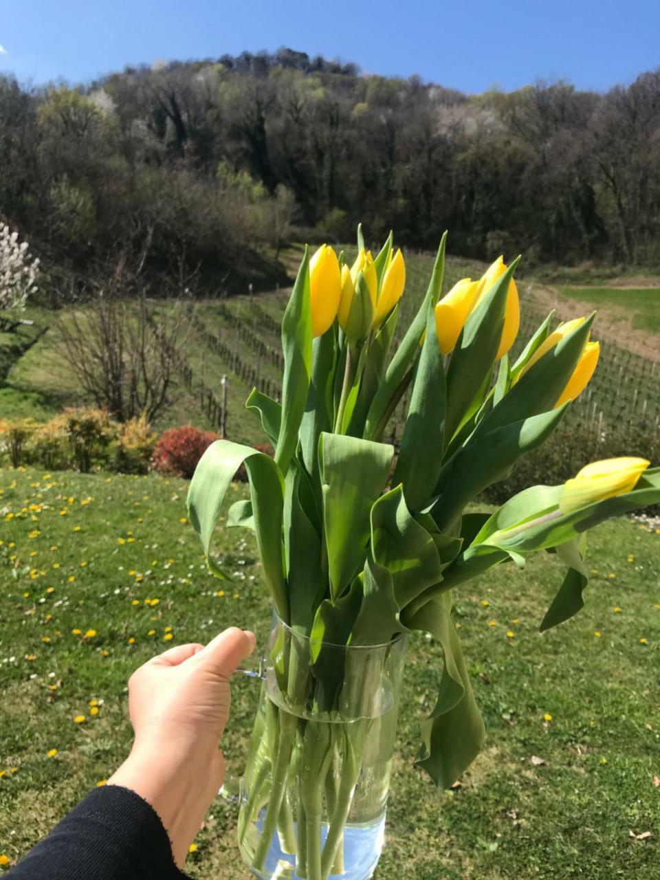Agriturismo Lemire San Pietro di Feletto Kültér fotó